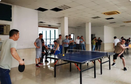Table Tennis Match Activity